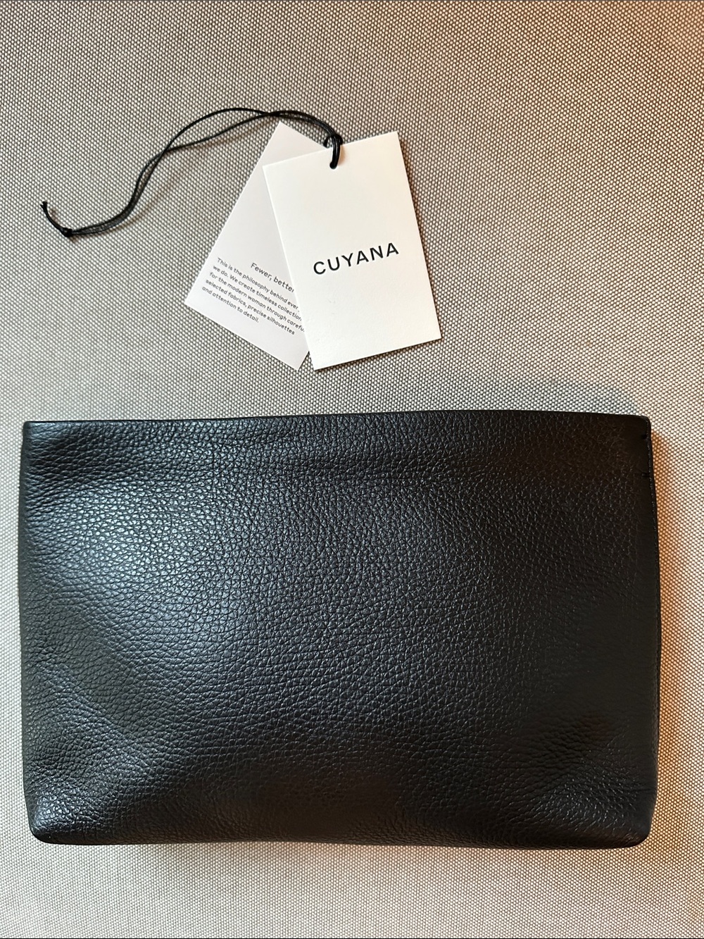 Cuyana Small Zipper Pouch